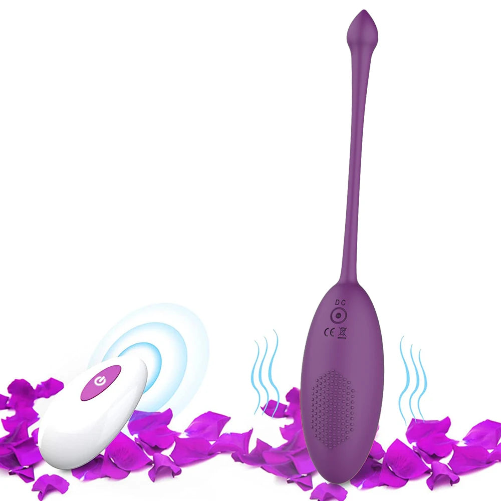 Oeuf vibrant télécommandé vibrateur pour point G