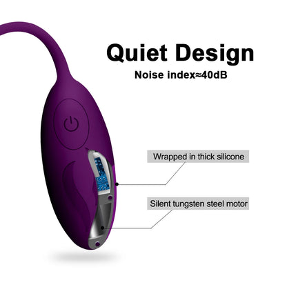 Oeuf vibrant télécommandé vibrateur pour point G