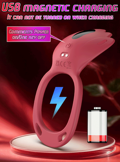 Jouets sexuels pour couples adultes