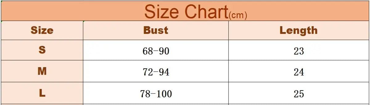 Corset Sexy en dentelle avec nœud brodé de fleurs Camisole en maille transparente Clickbing Market